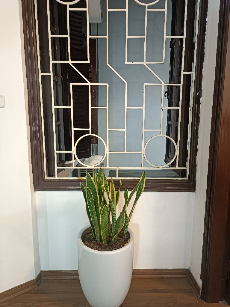 Bán nhà Bùi Xương Trạch - diện tích 66,2m2 4 tầng - gần ô tô - giá 16 tỷ