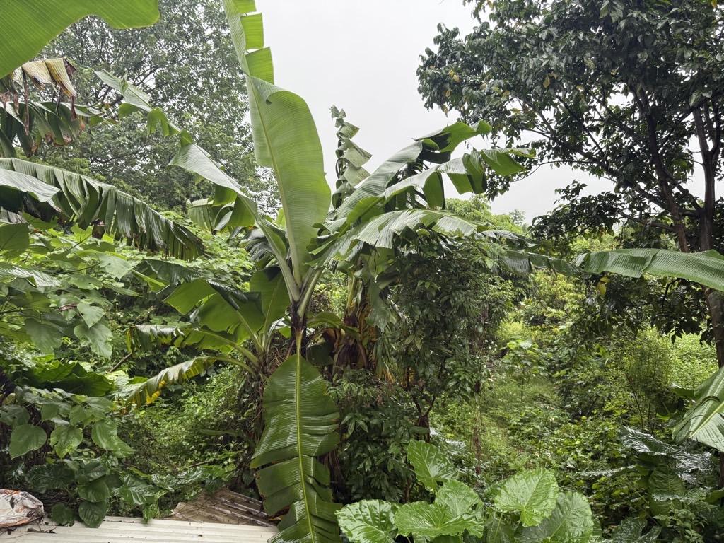 Bán nhà Thuý Lĩnh - diện tích 50m2 1 tầng - Mảnh đất thông số đẹp - giá 1,35 tỷ