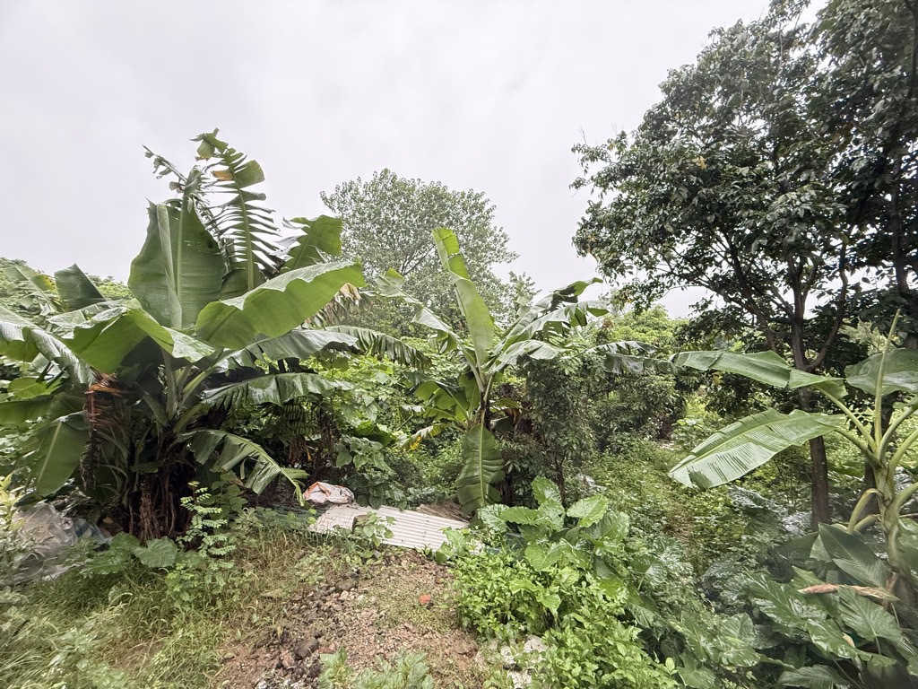 Bán nhà Thuý Lĩnh - diện tích 50m2 1 tầng - Mảnh đất thông số đẹp - giá 1,35 tỷ