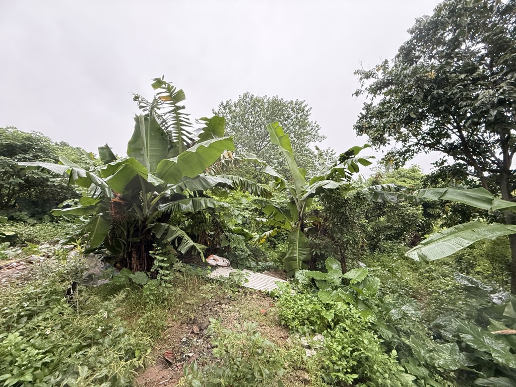 Bán nhà Thuý Lĩnh - diện tích 50m2 1 tầng - Mảnh đất thông số đẹp - giá 1,35 tỷ