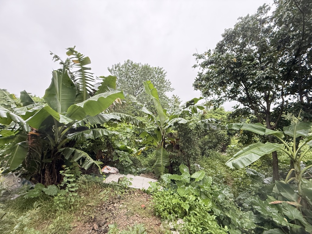 Bán nhà Thuý Lĩnh - diện tích 50m2 1 tầng - Mảnh đất thông số đẹp - giá 1,35 tỷ