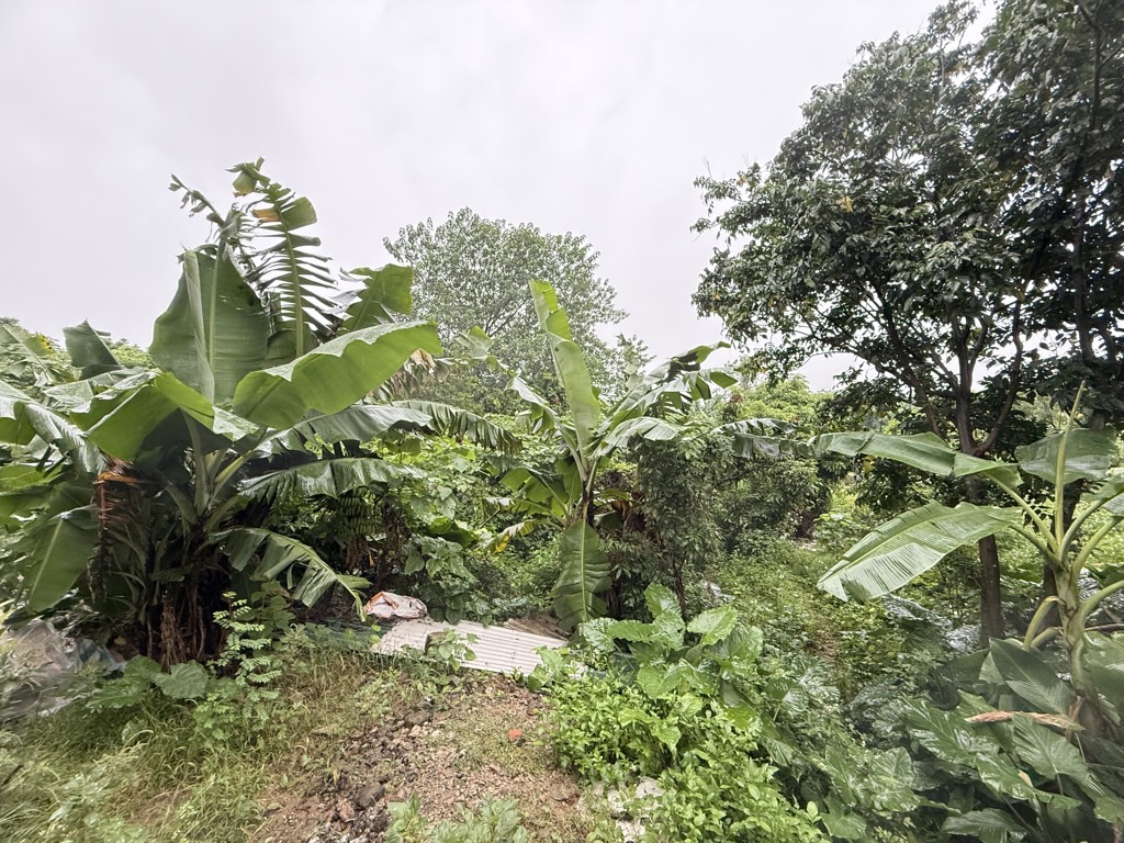 Bán nhà Thuý Lĩnh - diện tích 50m2 1 tầng - Mảnh đất thông số đẹp - giá 1,35 tỷ