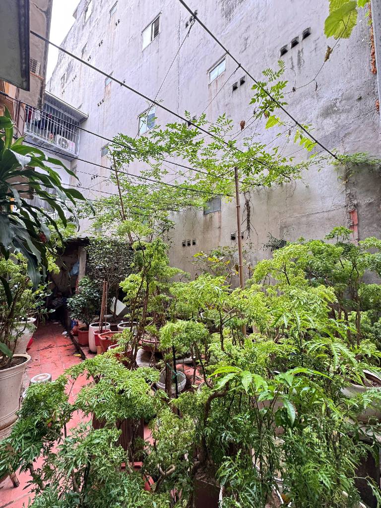 Bán nhà Gốc Đề - diện tích 50m2 1 tầng - Đất hiếm làng - giá 9,5 tỷ