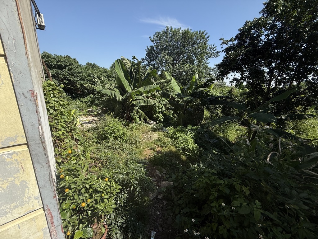 Bán nhà Thuý Lĩnh - diện tích 50m2 1 tầng - Mảnh đất thông số đẹp - giá 1,3 tỷ