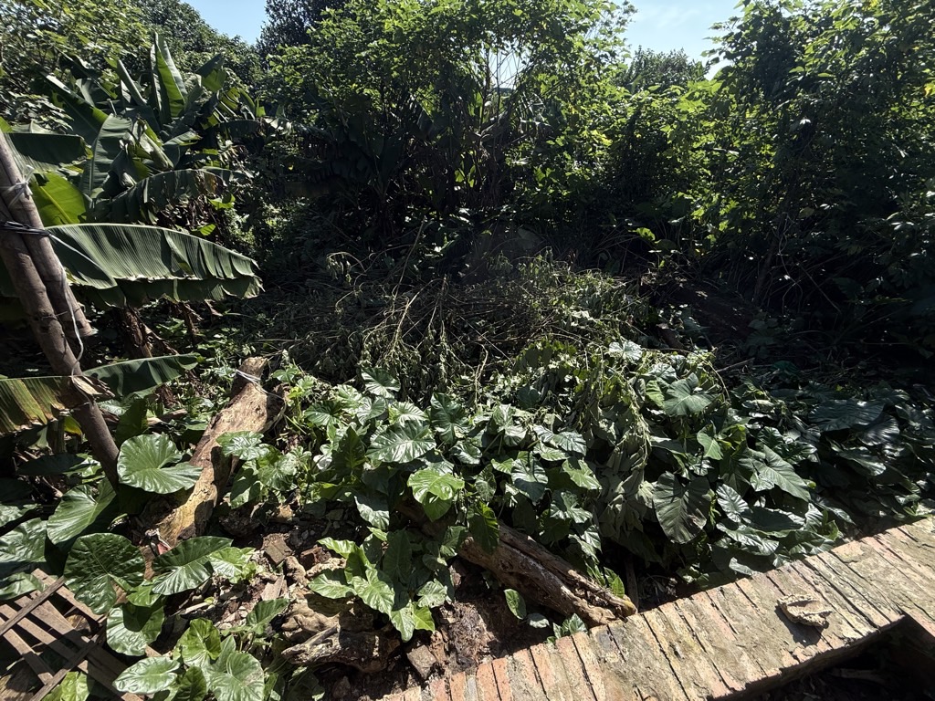 Bán nhà Thuý Lĩnh - diện tích 33m2 1 tầng - Mảnh đất nhỏ nhắn, xinh đẹp - giá 0 tỷ