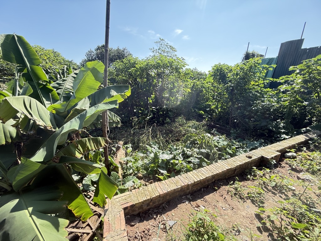 Bán nhà Thuý Lĩnh - diện tích 33m2 1 tầng - Mảnh đất nhỏ nhắn, xinh đẹp - giá 0 tỷ