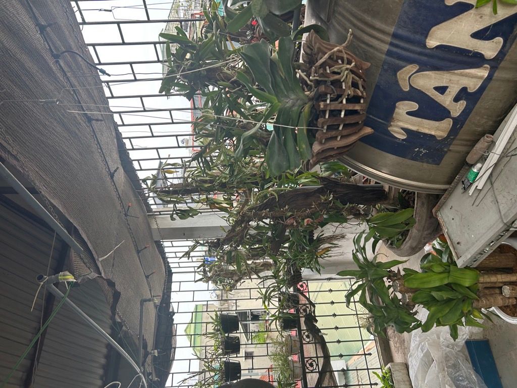 Bán nhà Mạc Thị Bưởi - diện tích 24,6m2 4 tầng - Mặt ngõ kinh doanh - giá 9 tỷ