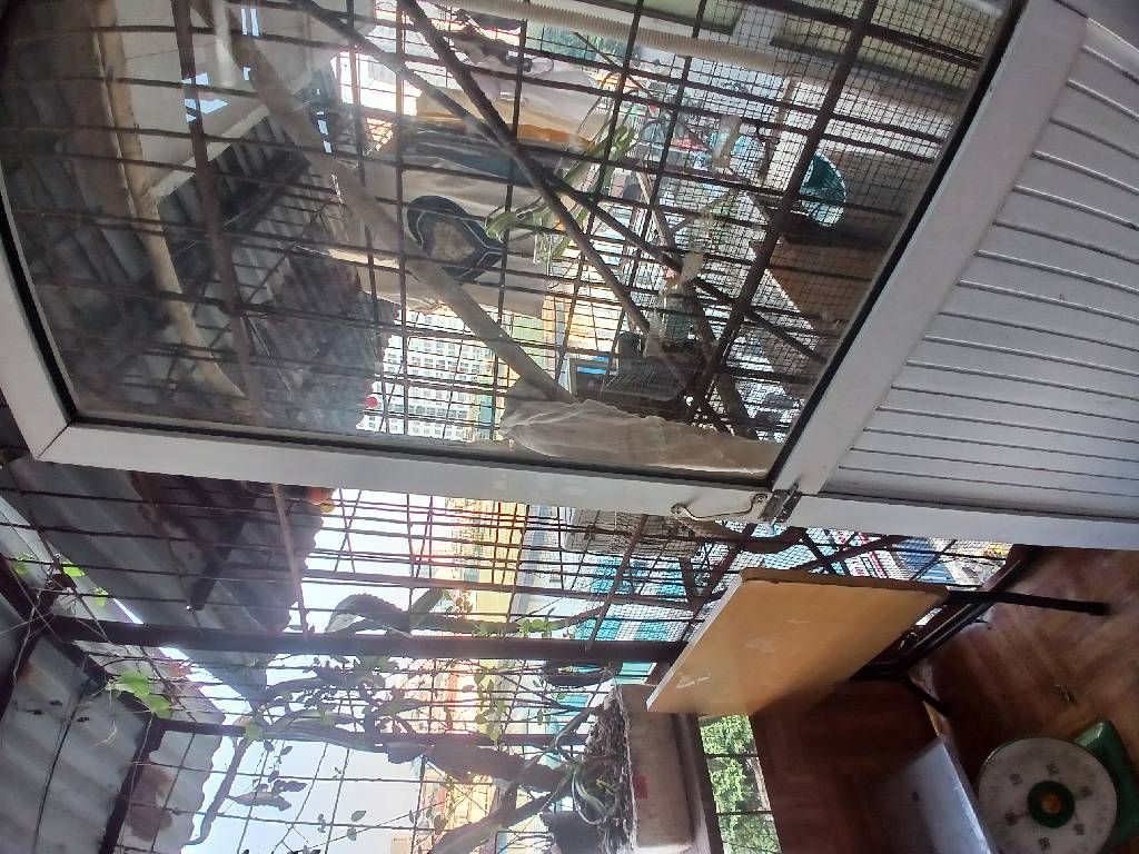 Bán nhà Kim Liên - diện tích 50m2 6 tầng - ô tô tránh - giá 3,9 tỷ