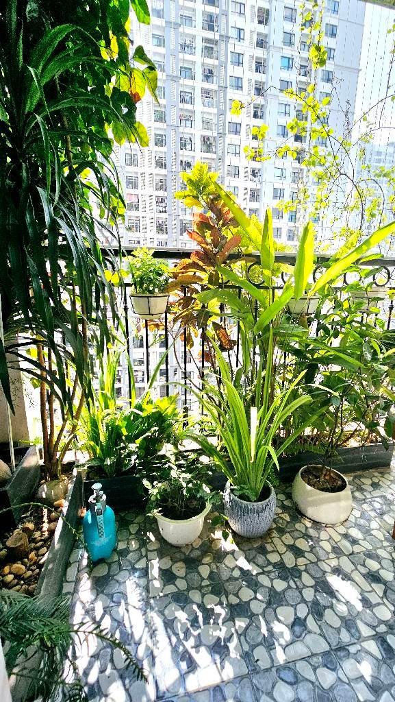 Bán nhà Vinhomes Times City - diện tích 106m2 1 tầng - View sân thể thao - giá 14,5 tỷ