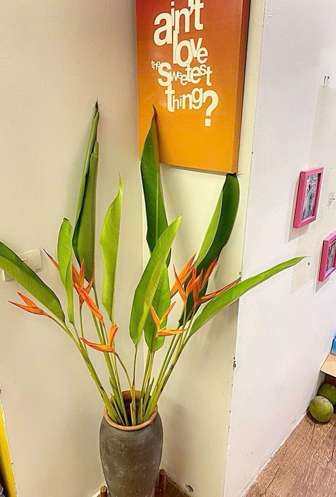 Bán nhà Phương Mai - diện tích 34m2 1 tầng - Ô tô đỗ gần - giá 6,2 tỷ