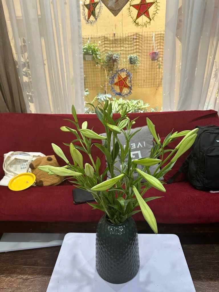 Bán nhà Phương Mai - diện tích 34m2 1 tầng - Ô tô đỗ gần - giá 6,2 tỷ