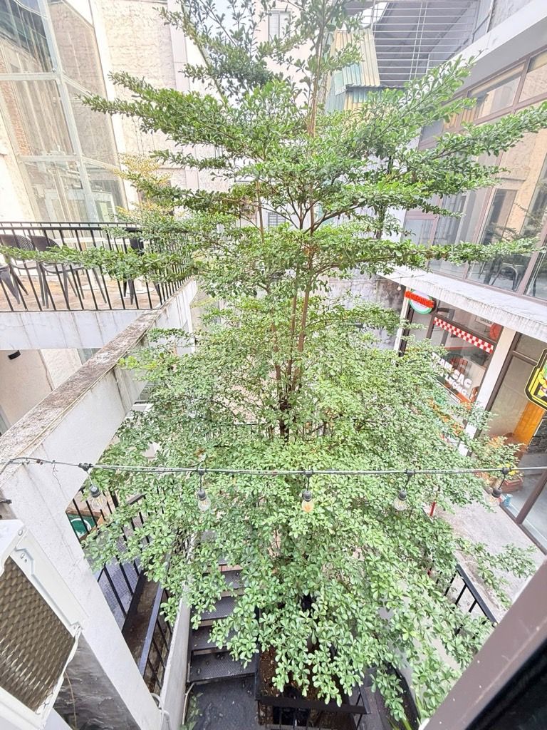 Bán nhà Ngõ Hoà Bình - diện tích 45.5m2 3 tầng - Nhà mới full nội thất - giá 8,8 tỷ