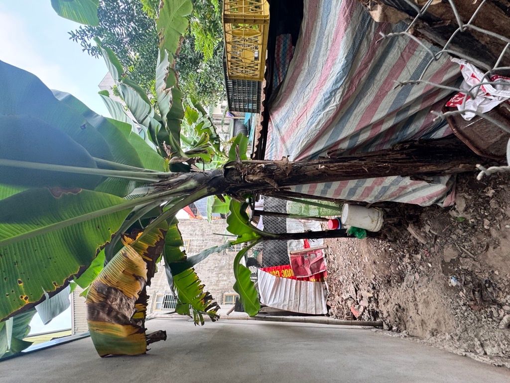 Bán nhà Khuyến Lương - diện tích 54m2 1 tầng - Ô tô tránh - giá 9,2 tỷ