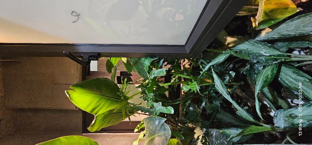 Bán nhà Láng - diện tích 68.5m2 1 tầng - Căn hộ chung cư mini đẹp ở ngay - giá 2,99 tỷ