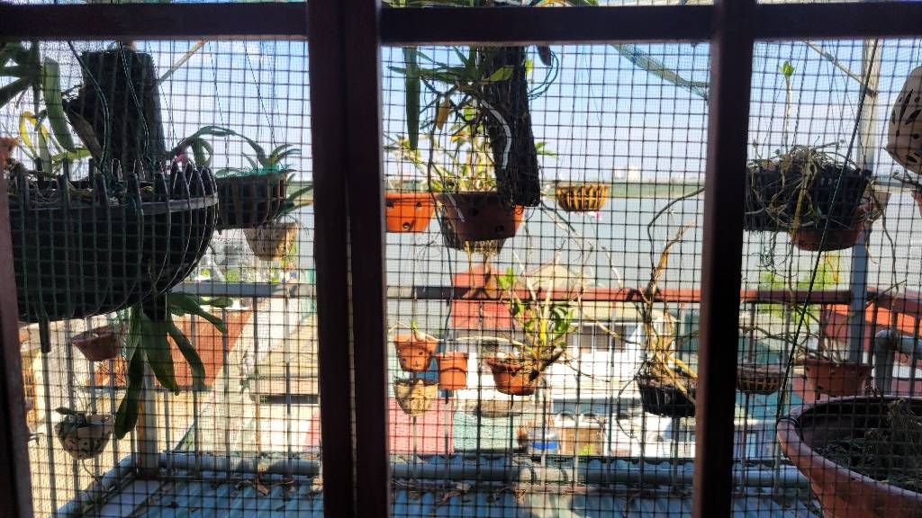 Bán nhà Bạch Đằng - diện tích 33.2m2 6 tầng - Mặt phố đắc địa, gần phố cổ - giá 11,6 tỷ