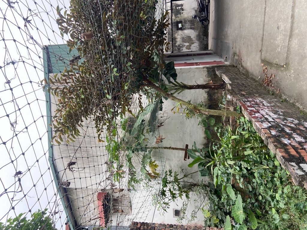 Bán nhà Đại Từ - diện tích 30m2 2 tầng - Nhà không sổ nằm trong xóm mới - giá 2,6 tỷ