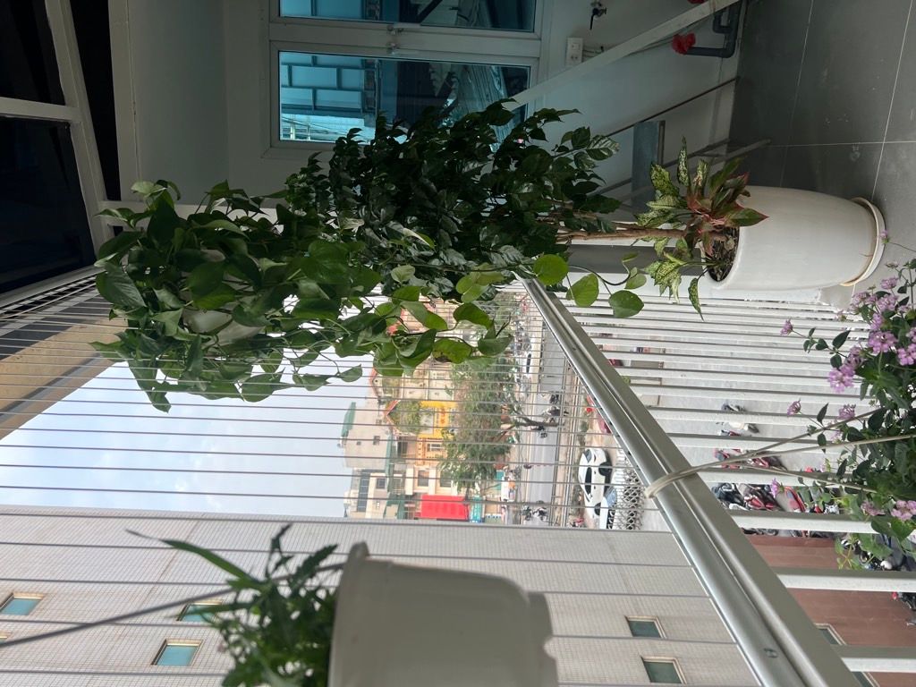 Bán nhà Giải phóng - diện tích 61,8m2 4 tầng - ô tô đỗ chân cầu thang - giá 6,15 tỷ