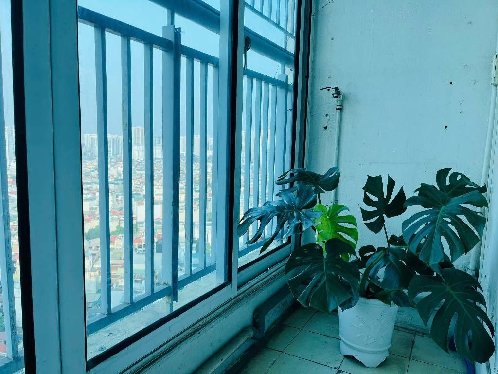 Bán nhà Nguyễn Đức Cảnh - diện tích 70.4m2 21 tầng - Căn hộ đẹp, tiện ích đủ thứ - giá 5,8 tỷ