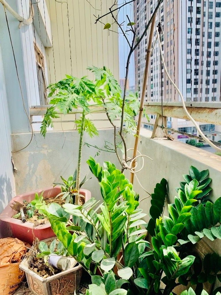 Bán nhà Nguyễn Cảnh Dị - diện tích 122,2m2 1 tầng - Chung cư cao cấp - giá 7,95 tỷ