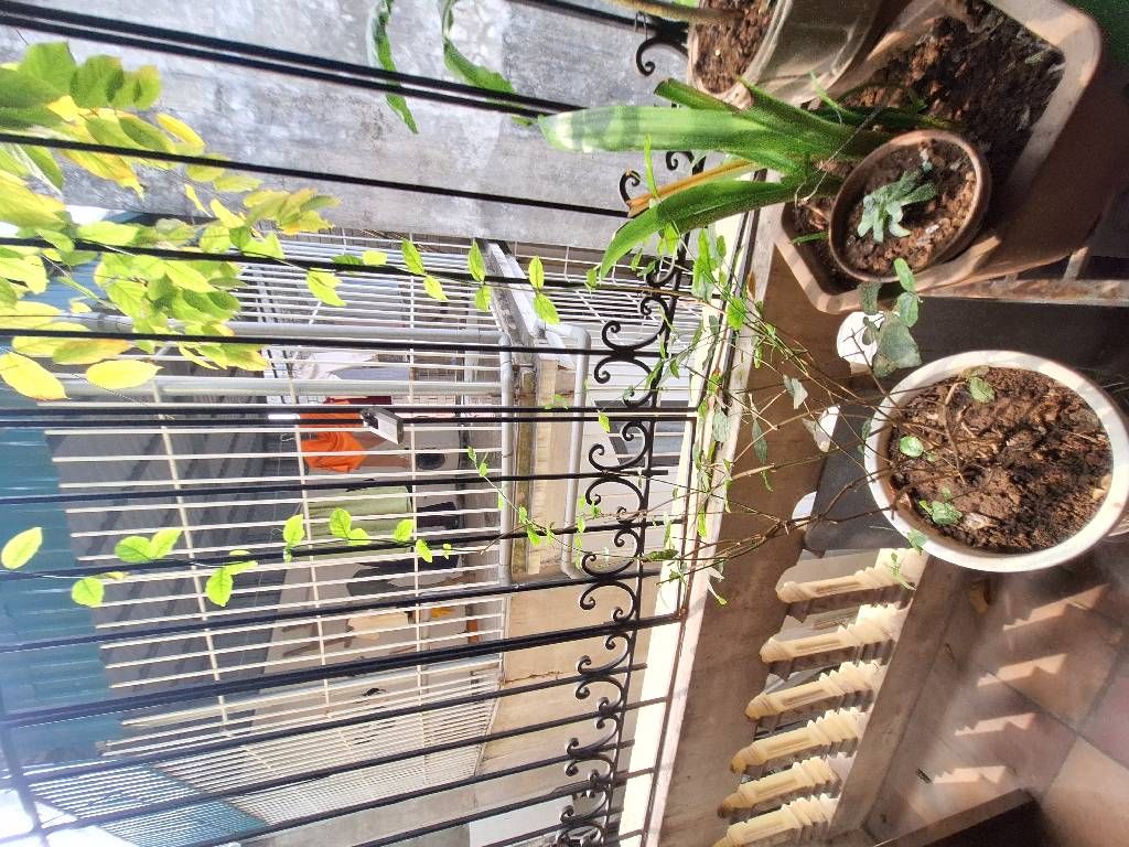 Bán nhà Thái Thịnh - diện tích 26.3m2 5 tầng - Mặt tiền rộng, nhà dân xây khung cột chắc chắn - giá 10 tỷ