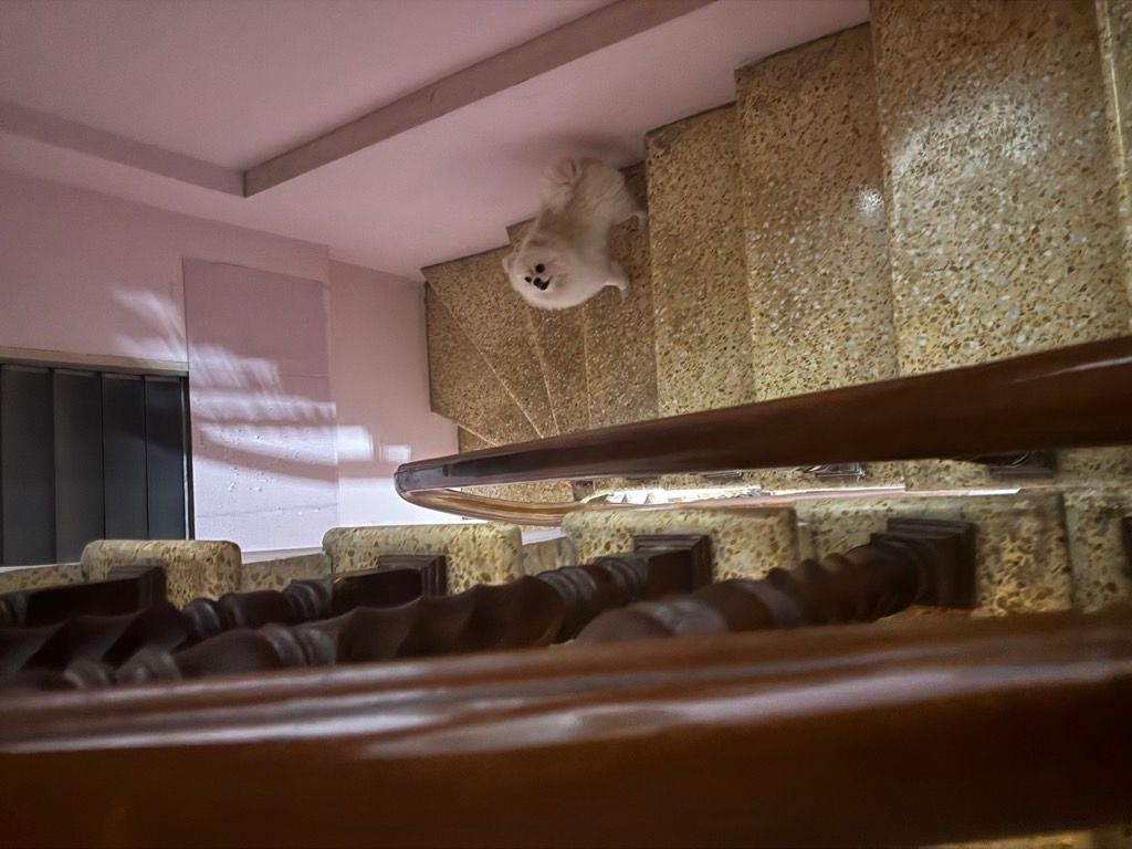 Bán nhà Hoàng mai - diện tích 47m2 4 tầng - Mặt phố kinh doanh sầm uất - giá 17 tỷ