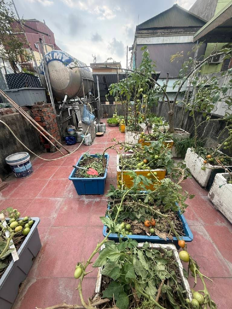 Bán nhà Lĩnh Nam - diện tích 40m2 4 tầng - Ô TÔ TẢI ĐỖ CỬA - giá 10,3 tỷ