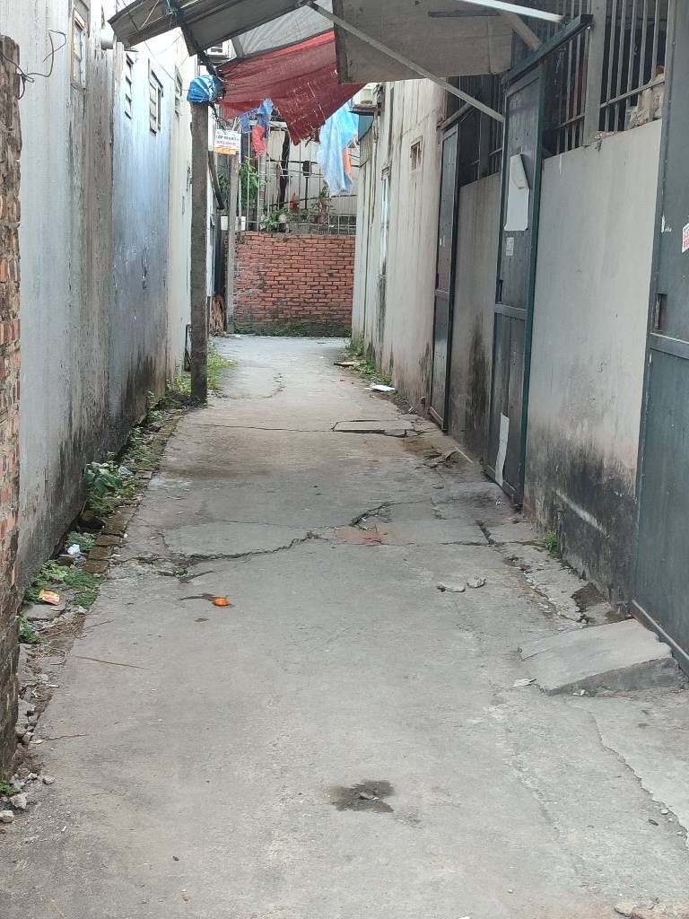 Bán nhà Thúy Lĩnh - diện tích 50m2 2 tầng - Lô góc mặt tiền đẹp - giá 6 tỷ