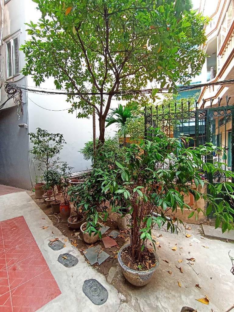 Bán nhà Ô Đồng Lầm - diện tích 40m2 1 tầng - Ô tô tránh - giá 12,8 tỷ