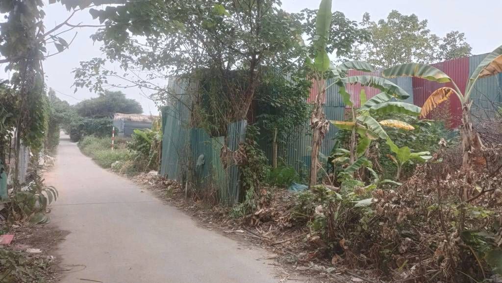 Bán nhà Thúy Lĩnh - diện tích 41.7m2 1 tầng - ô tô tránh - giá 1 tỷ