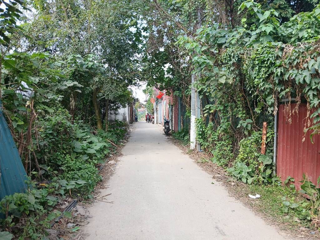 Bán nhà Thúy Lĩnh - diện tích 41.7m2 1 tầng - ô tô tránh - giá 1 tỷ