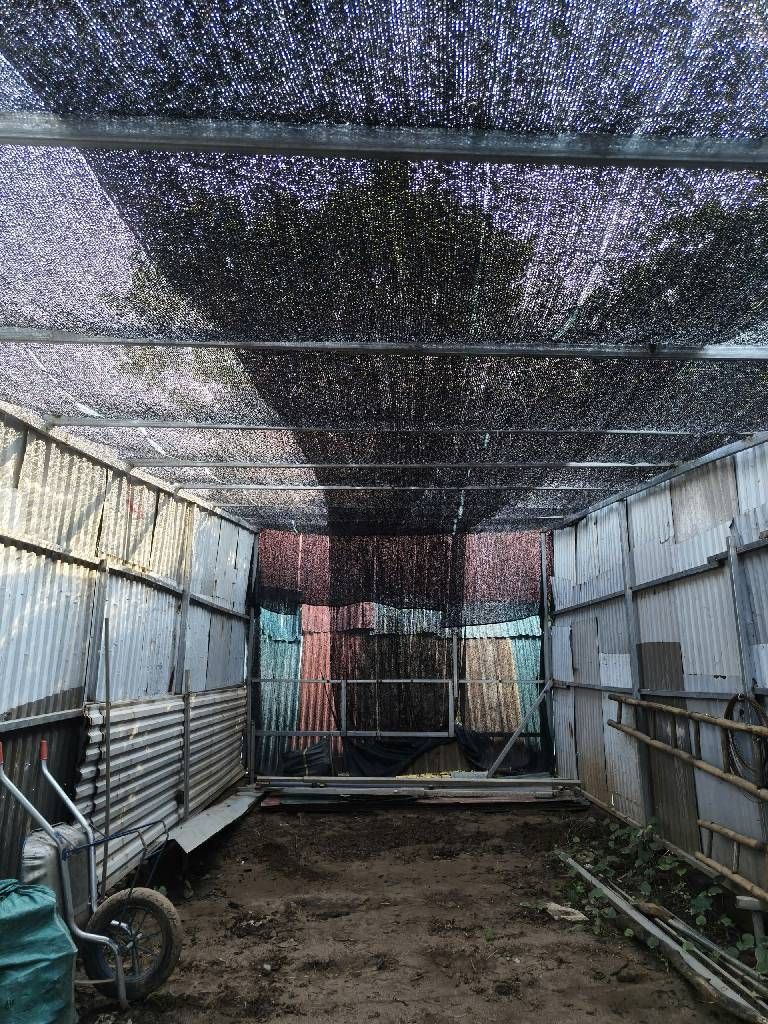 Bán nhà Thúy Lĩnh - diện tích 41.7m2 1 tầng - ô tô tránh - giá 1 tỷ