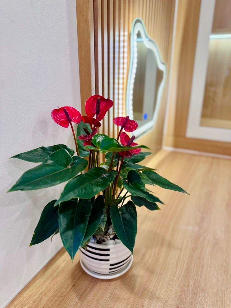 Bán nhà Vũ Hữu - diện tích 20,5m2 4 tầng - Ngõ 2,2m thông kinh doanh - giá 5,5 tỷ