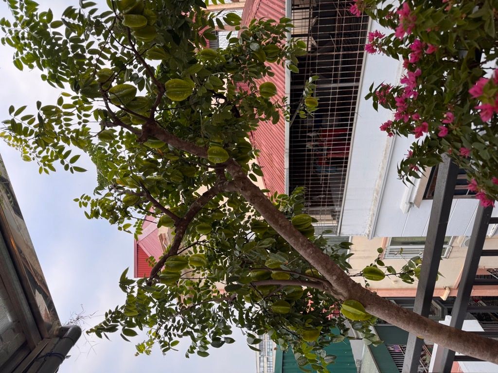 Bán nhà Đầm Trấu - diện tích 48m2 6 tầng - Ô tô đỗ cửa - giá 15,95 tỷ