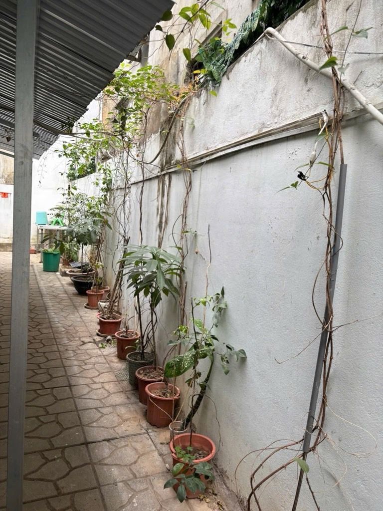 Bán nhà Mai Động - diện tích 200m2 1 tầng - ô tô vào nhà - giá 14,35 tỷ