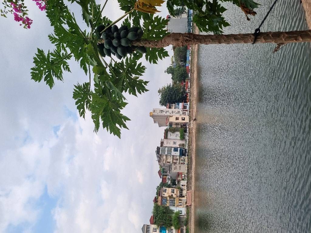 Bán nhà Đường ven Hồ Đầm Chuối - diện tích 62.2m2 1 tầng - Ô tô qua nhà - giá 6,4 tỷ