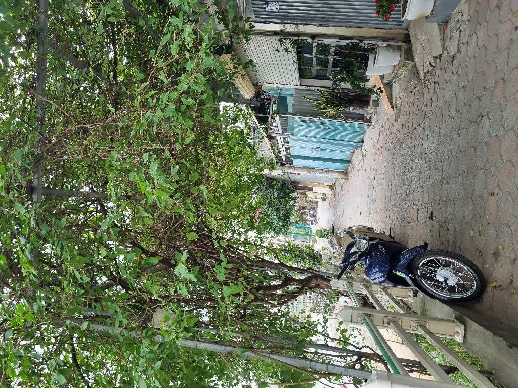 Bán nhà Đường ven Hồ Đầm Chuối - diện tích 62.2m2 1 tầng - Ô tô qua nhà - giá 6,4 tỷ