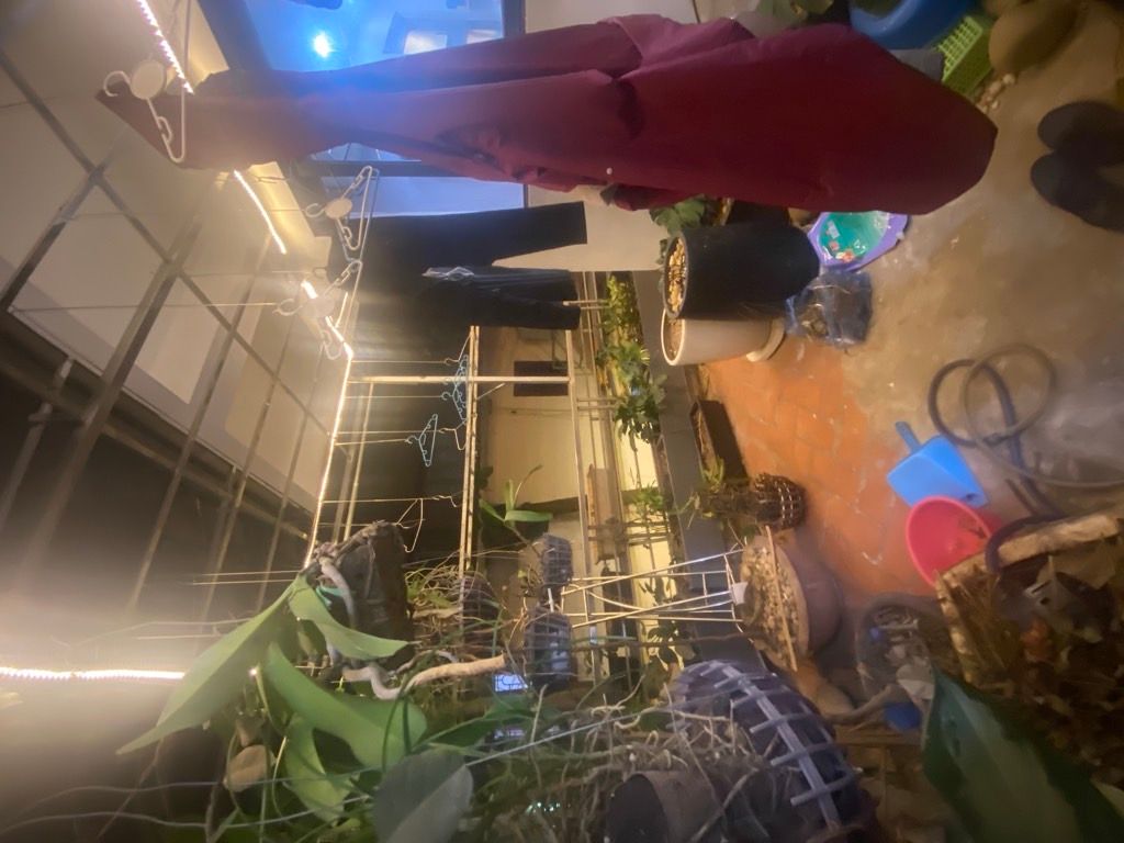 Bán nhà Hoàng Ngọc Phách - diện tích 32.1m2 1 tầng - nhà đẹp hiếm có - giá 6,7 tỷ