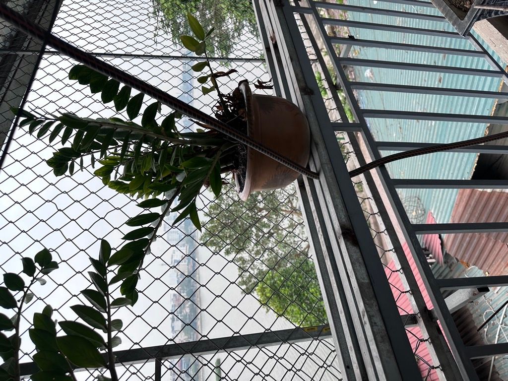 Bán nhà Định Công - diện tích 48.2m2 3 tầng - Mặt ngõ Ô tô thông - giá 7,2 tỷ