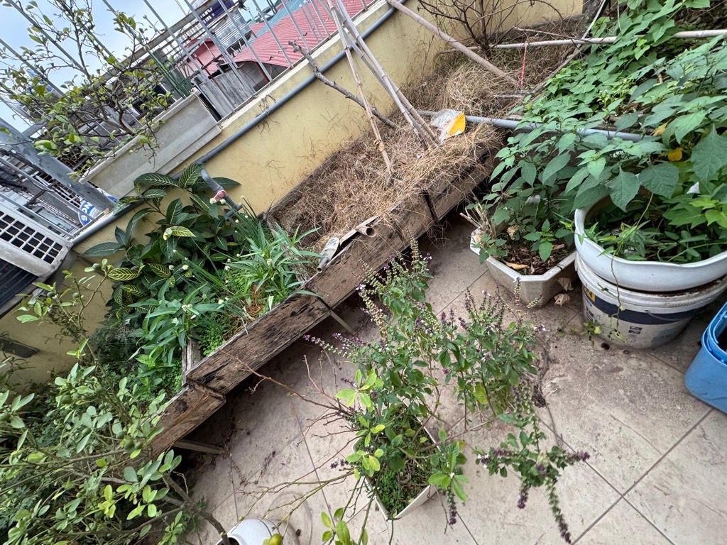 Bán nhà Nguyễn Khoái - diện tích 40m2 5 tầng - Lô Góc Thoáng Trước sau - giá 9,7 tỷ