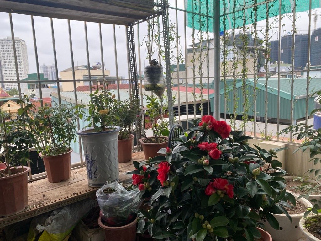 Bán nhà Bằng Liệt - diện tích 36m2 5 tầng - Lô góc, trước nhà thoáng sáng - giá 8,6 tỷ