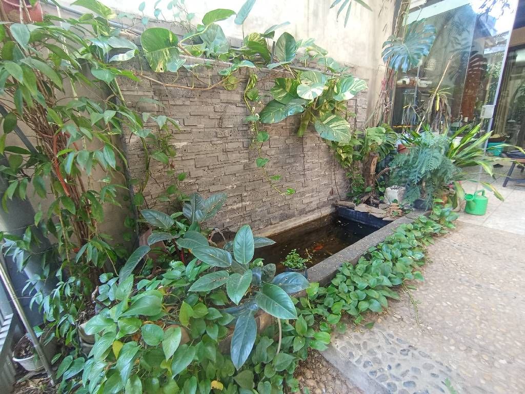 Bán nhà Hoàng Ngọc Phách - diện tích 33.7m2 1 tầng - Ô TÔ - giá 7.8 tỷ