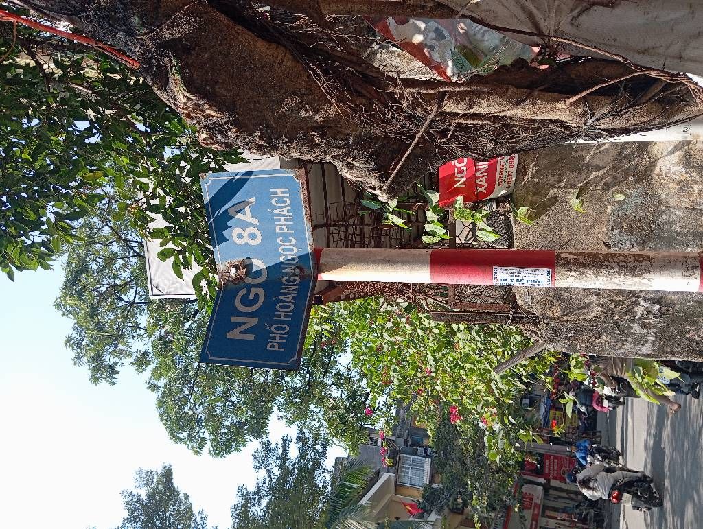 Bán nhà Hoàng Ngọc Phách - diện tích 33.7m2 1 tầng - Ô TÔ - giá 7.8 tỷ