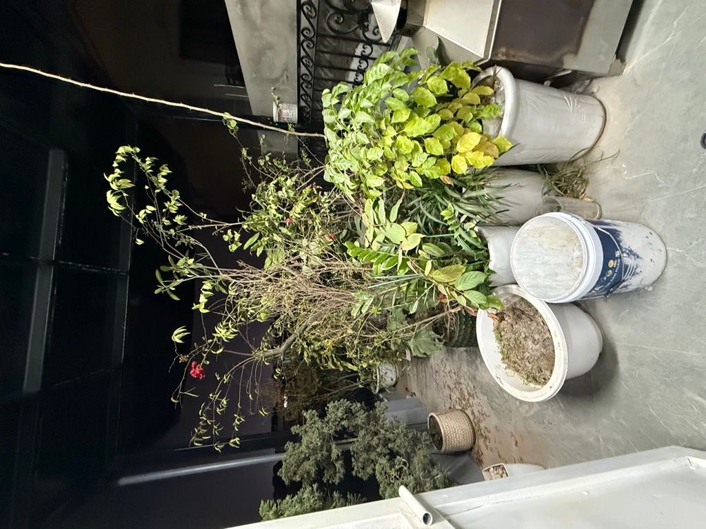 Bán nhà Tạ Quang Bửu - diện tích 79m2 4 tầng - ngõ ô tô - giá 24,5 tỷ