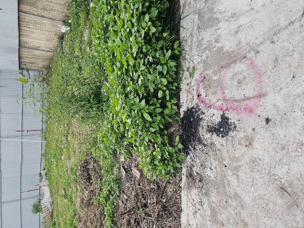 Bán nhà Định Công Hạ - diện tích 61m2 1 tầng - gần ô tô tránh - giá 1,78 tỷ