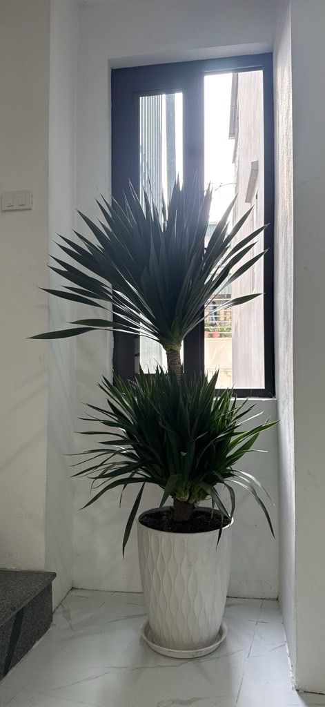 Bán nhà Trần Khát Chân - diện tích 36,3m2 5 tầng - Nhà đẹp ở luôn - giá 7,5 tỷ