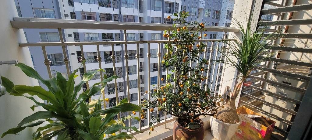 Bán nhà Vĩnh Tuy - diện tích 92m2 1 tầng - Căn hộ chung cư cao cấp KĐT Timescity Park Hill - giá 12,6 tỷ