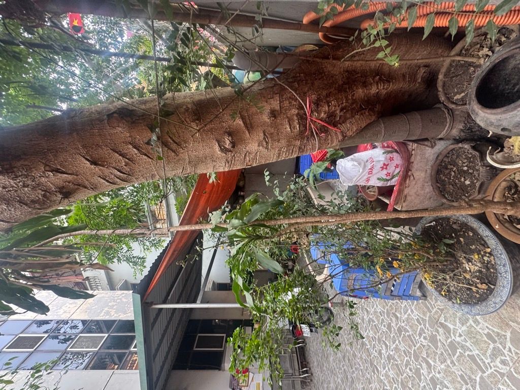 Bán nhà Nguyễn Chính - diện tích 77m2 3 tầng - ô tô tránh - giá 22 tỷ