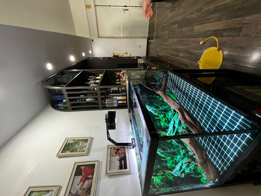 Bán nhà Vũ Trọng Phụng - diện tích 81.5m2 1 tầng - Căn hộ đẹp hiếm có - giá 6,4 tỷ