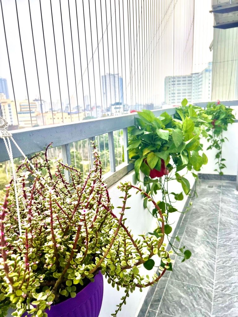 Bán nhà Huỳnh Thúc Kháng - diện tích 69m2 8 tầng - SIÊU PHẨM BAY NHANH LÔ GÓC - giá 7,2 tỷ