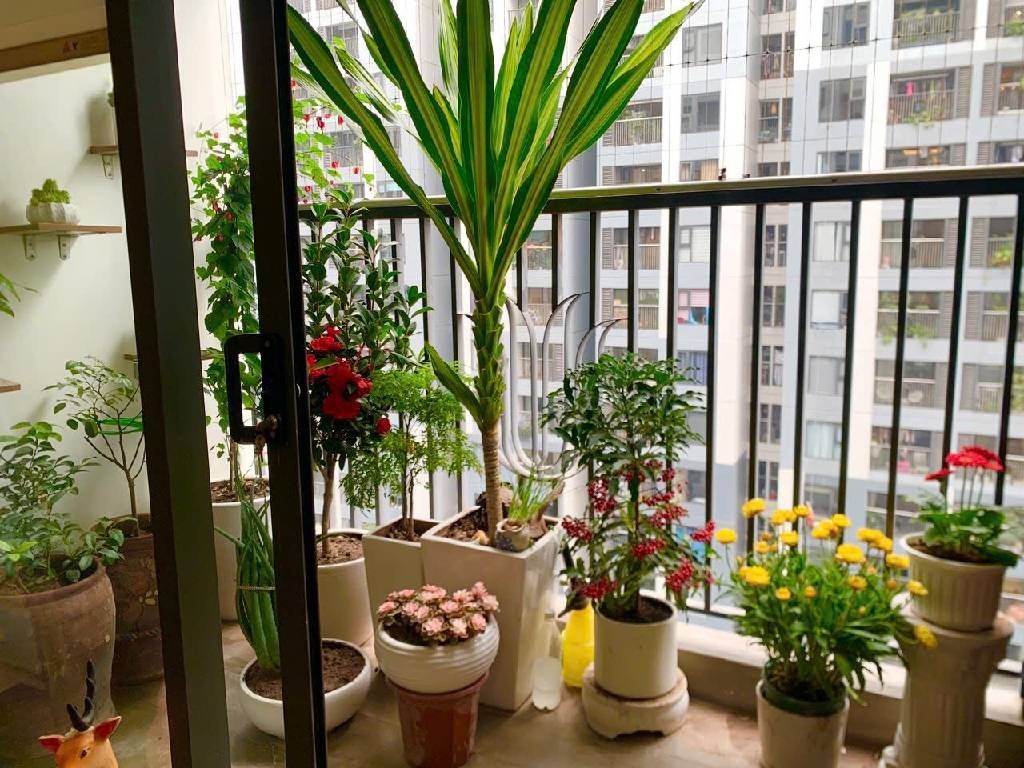 Bán nhà Vĩnh Tuy - diện tích 76m2 1 tầng - Căn hộ hai ban công quay sân chơi - giá 8,9 tỷ